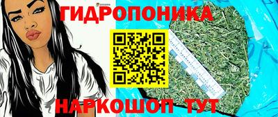 дмт Кингисепп