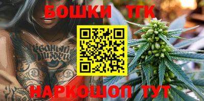 дмт Кингисепп