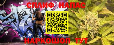 дмт Кингисепп