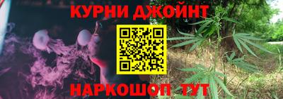 дмт Кингисепп