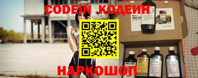 дмт Кингисепп