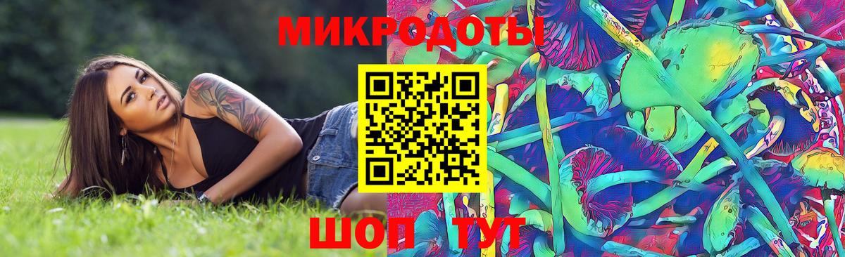 Псилоцибиновые грибы GOLDEN TEACHER Кудымкар